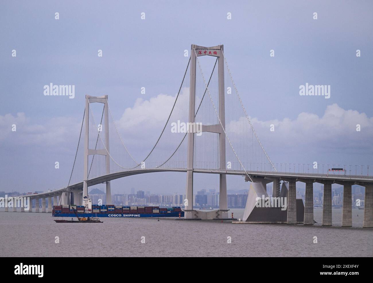 (240630) -- SHENZHEN, 30 juin 2024 (Xinhua) -- cette photo prise le 29 juin 2024 montre le pont Shenzhong de la liaison Shenzhen-Zhongshan dans la province de Guangdong, dans le sud de la Chine. La liaison Shenzhen-Zhongshan, un méga passage maritime dans le sud de la Chine qui comprend deux ponts, deux îles artificielles et un tunnel sous-marin, a ouvert à la circulation à 15 heures dimanche. S'étendant sur 24 km, la liaison réduit considérablement le temps de trajet entre la ville de Zhongshan et le centre technologique de Shenzhen, situé sur les côtés opposés de l'estuaire de la rivière des perles dans la province du Guangdong, réduisant ainsi la durée du voyage Banque D'Images