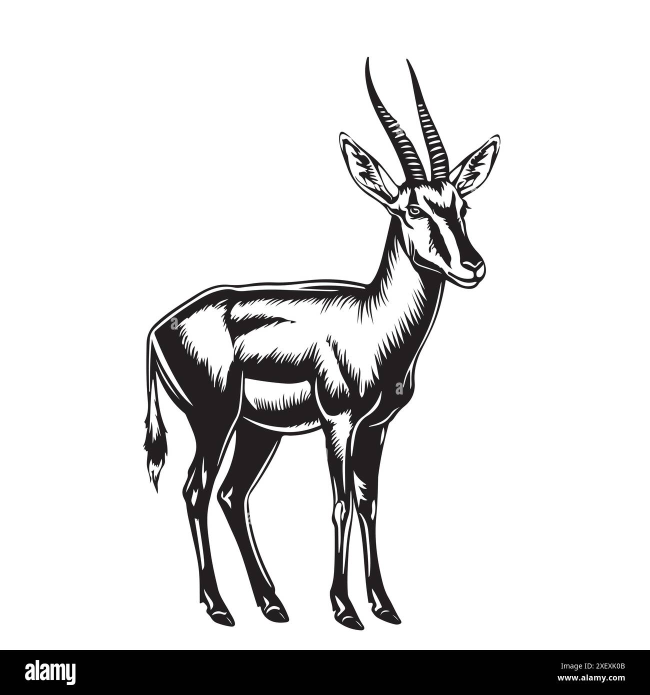 Antelope animal dessiné à la main esquisse de gravure illustration vectorielle Illustration de Vecteur Antelope animal dessiné à la main esquisse de gravure illustration vectorielle Illustration de Vecteur
