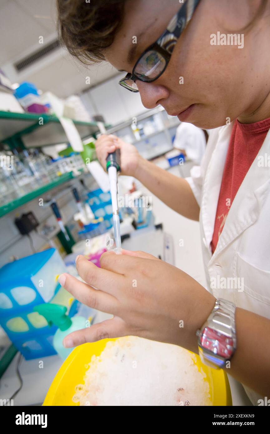 Mort cellulaire et prolifération, IIBB, Institut de recherche biomédicale de Barcelone, CSIC, Conseil national espagnol de la recherche, Barcelone, Catalogne, Espagne Banque D'Images