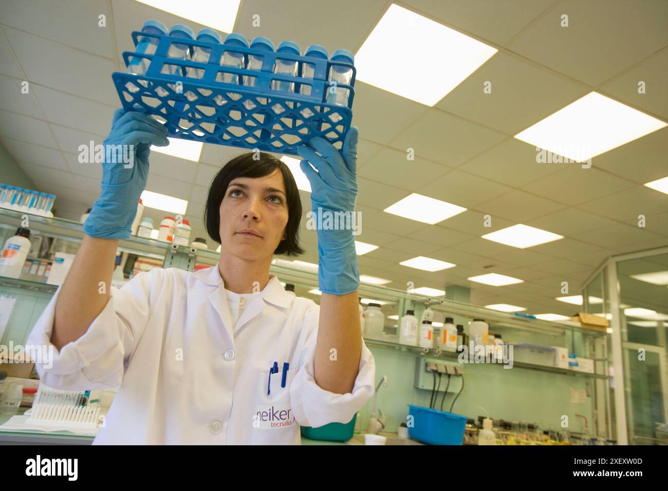 Analyse des résidus d'antibiotiques dans le miel, laboratoire de sécurité agroenvironnementale, Departamento de Agrosistemas y Recursos Naturales, Neiker Tecnalia, Banque D'Images