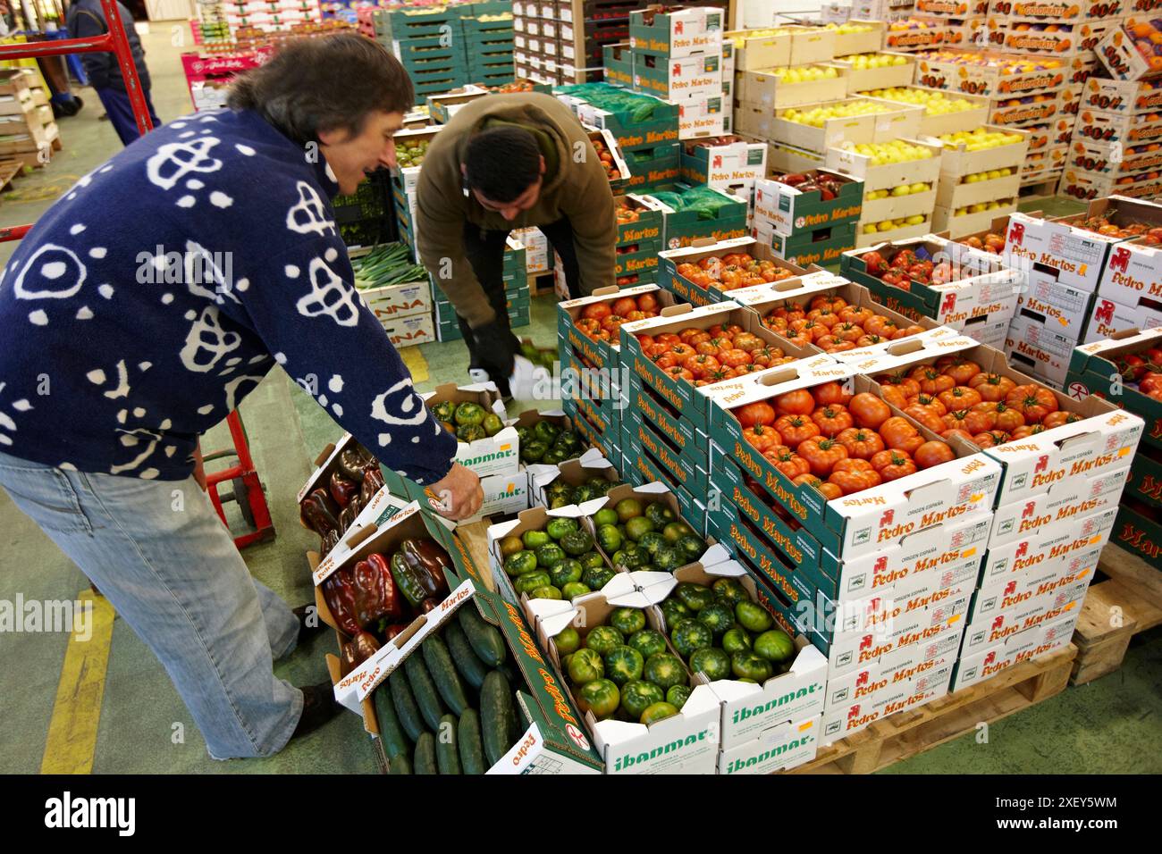 Les tomates, les fruits et légumes Mercabilbao, marché de gros de Basauri, Bilbao, Biscaye, Pays Basque, Espagne. Banque D'Images