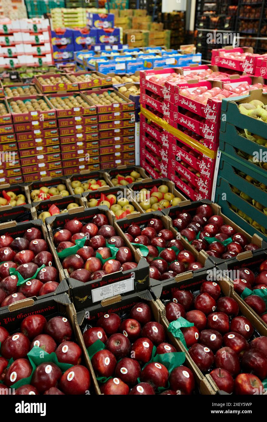 Les pommes, les fruits et légumes Mercabilbao, marché de gros de Basauri, Bilbao, Biscaye, Pays Basque, Espagne. Banque D'Images