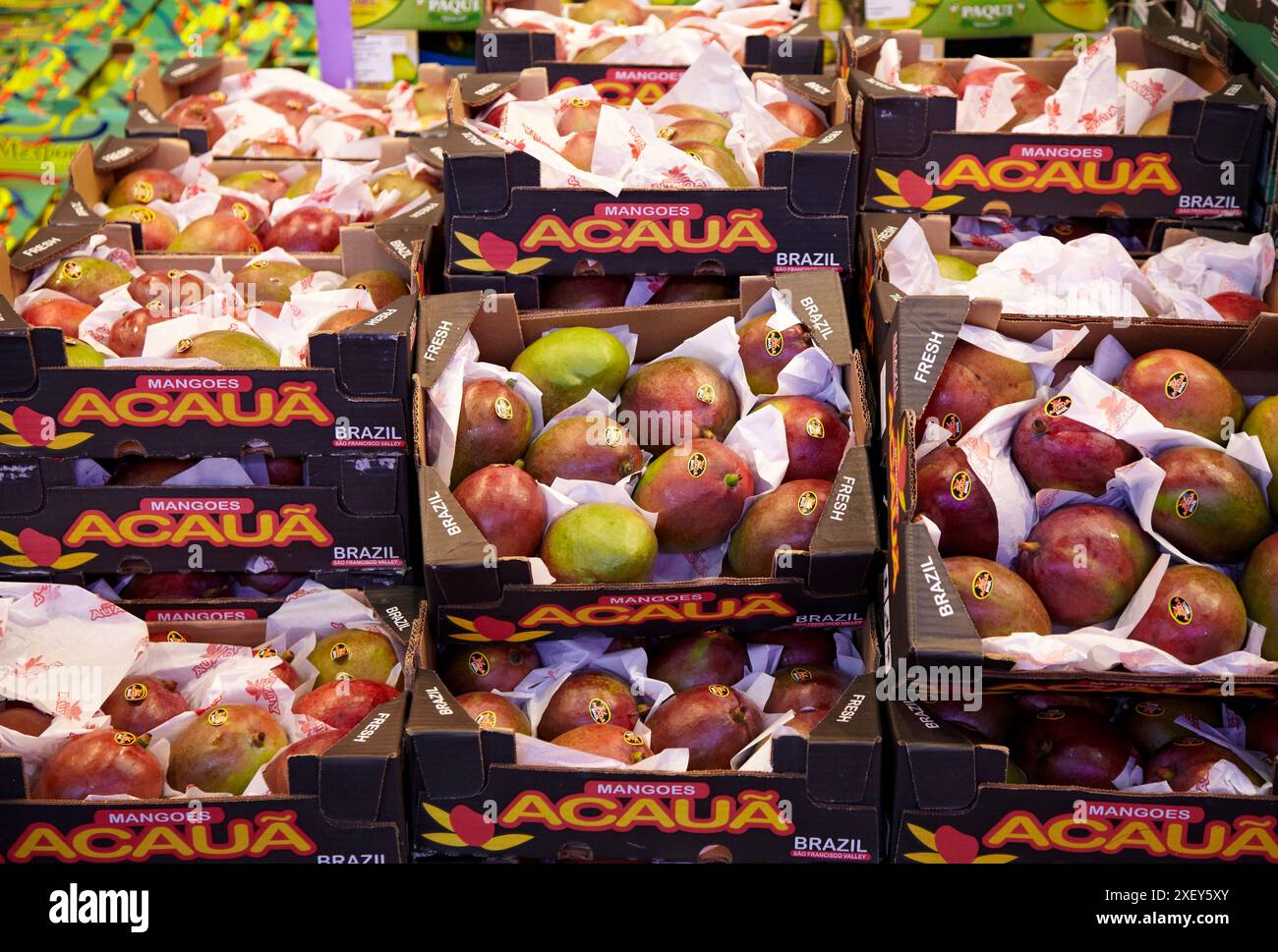 Les mangues, fruits et légumes Mercabilbao, marché de gros de Basauri, Bilbao, Biscaye, Pays Basque, Espagne. Banque D'Images