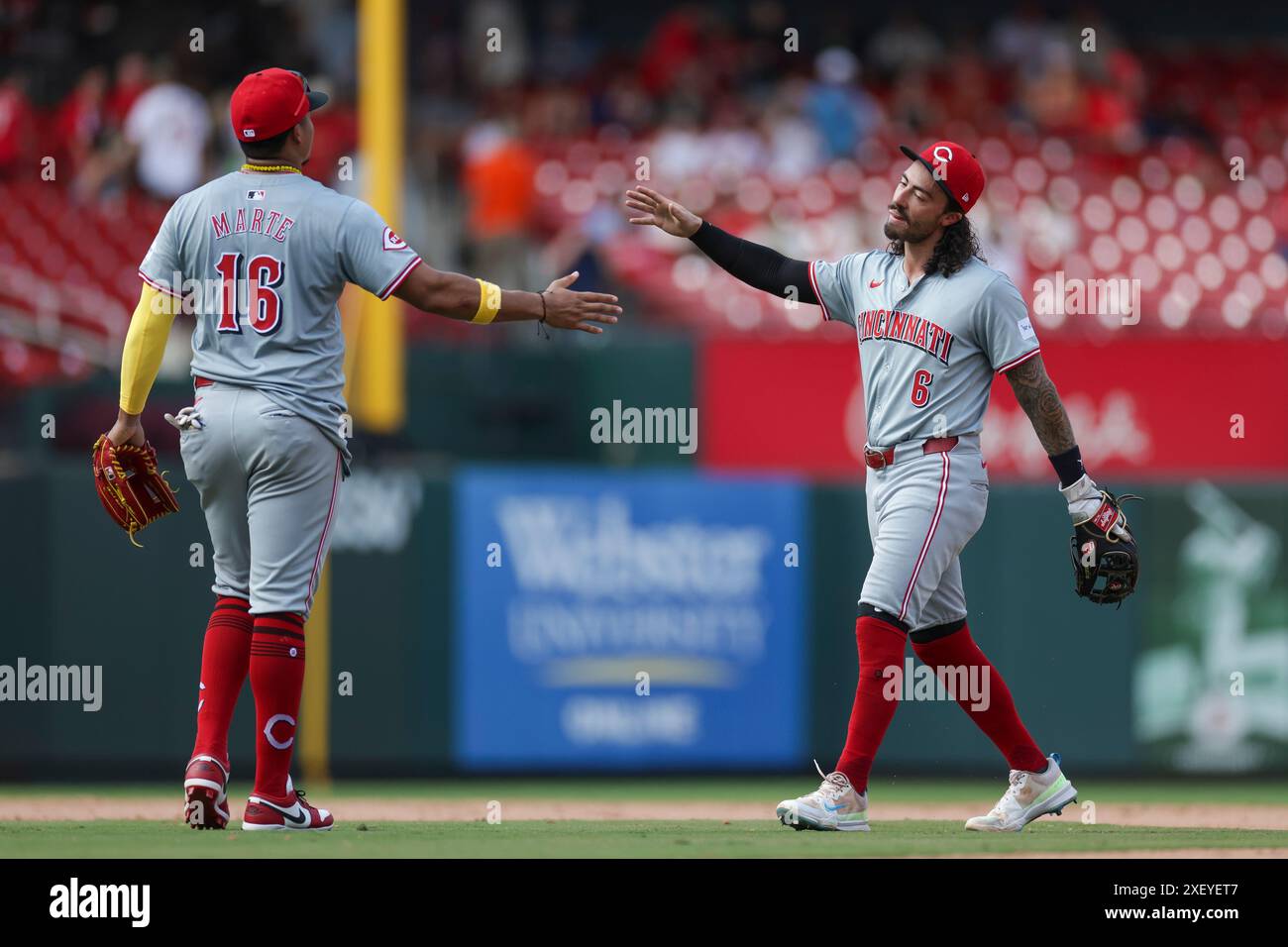 Noelvi Marte #16 des Reds de Cincinnati et Jonathan India #6 célèbrent une victoire par équipe sur les nouveaux Louis Cardinals au Busch Stadium le 29 juin 2024 à Saint Louis, Missouri. (Photo de Brandon Sloter/image du sport) Banque D'Images