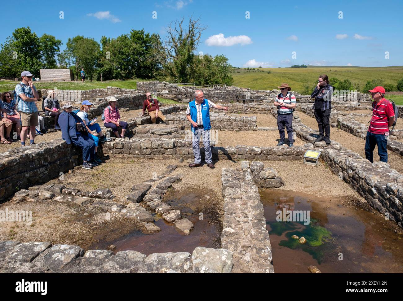 Guide touristique de Vindolanda emmenant les visiteurs autour du fort romain de Vindolanda, Northumberland, Angleterre. Banque D'Images