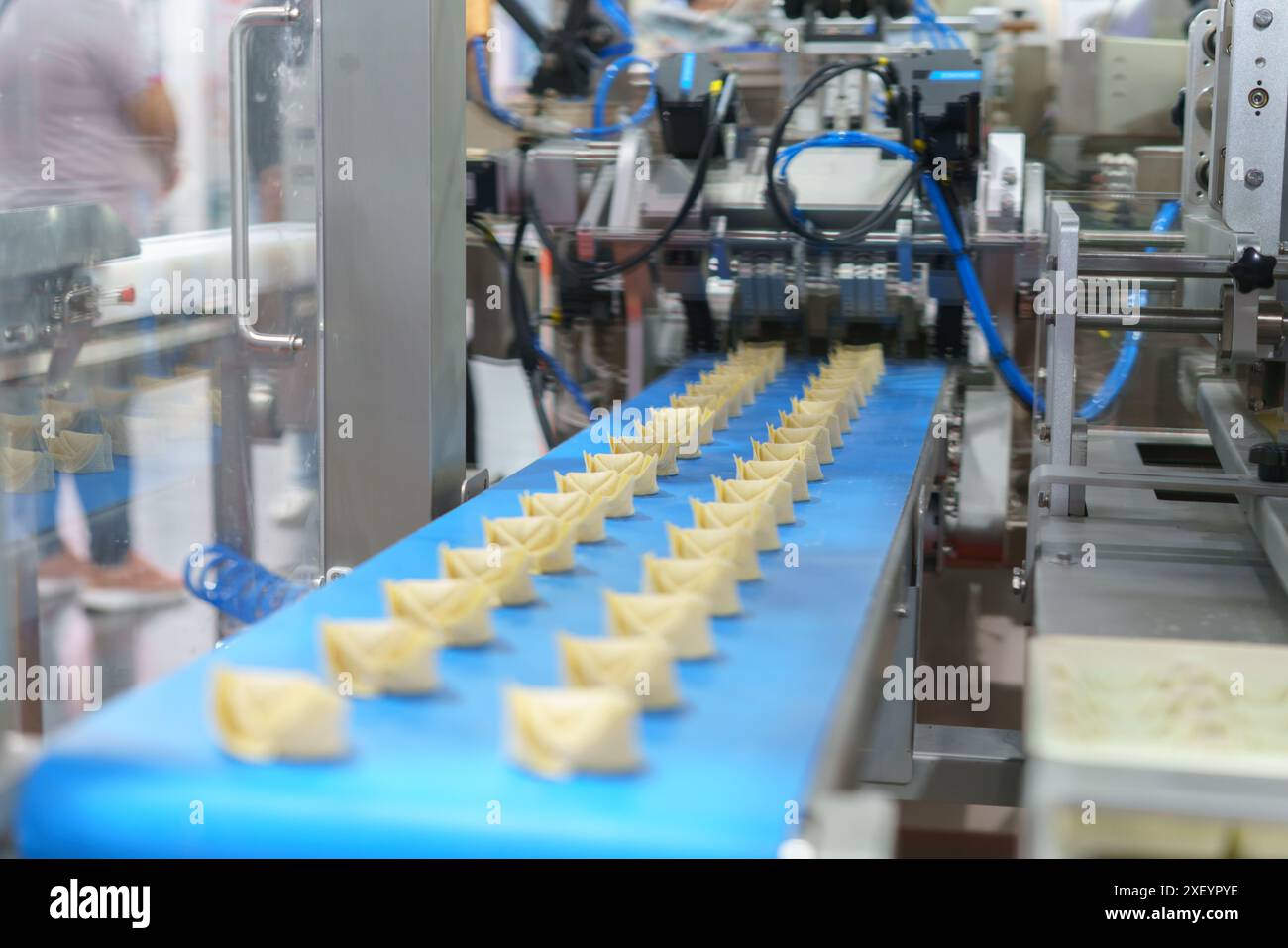 plieuse de boulettes automatisée en action, une innovation cruciale dans la fabrication et la transformation des aliments Banque D'Images