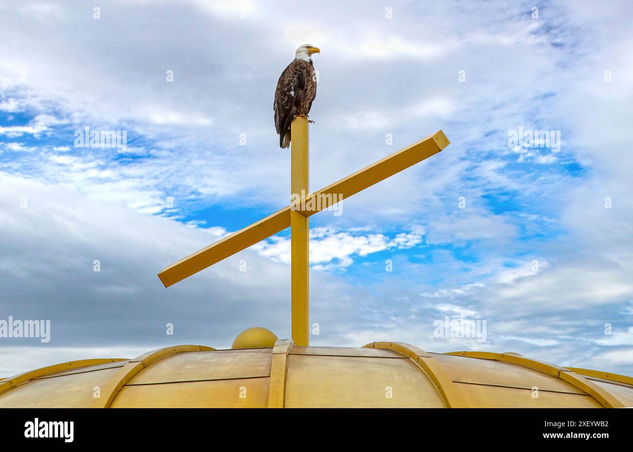 Aigle à tête blanche (Haliaeetus leucocephalus) perché sur une croix d'église dorée et un dôme doré à Minneapolis, Minnesota. Banque D'Images