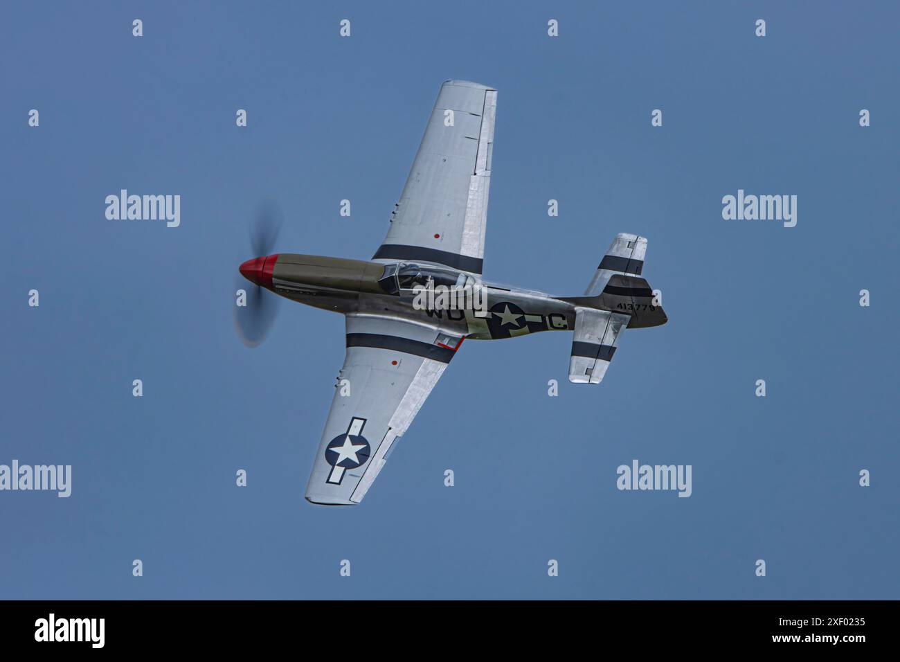 P51 Mustang Banque D'Images
