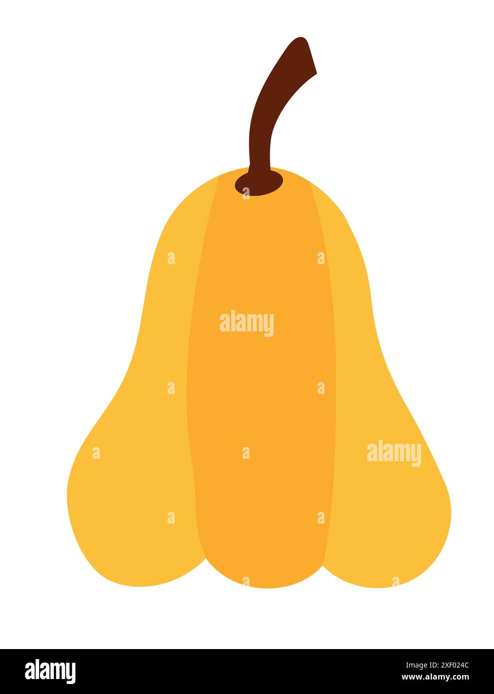 Élément de citrouille. Légume d'automne. Illustration vectorielle plate. Illustration de Vecteur