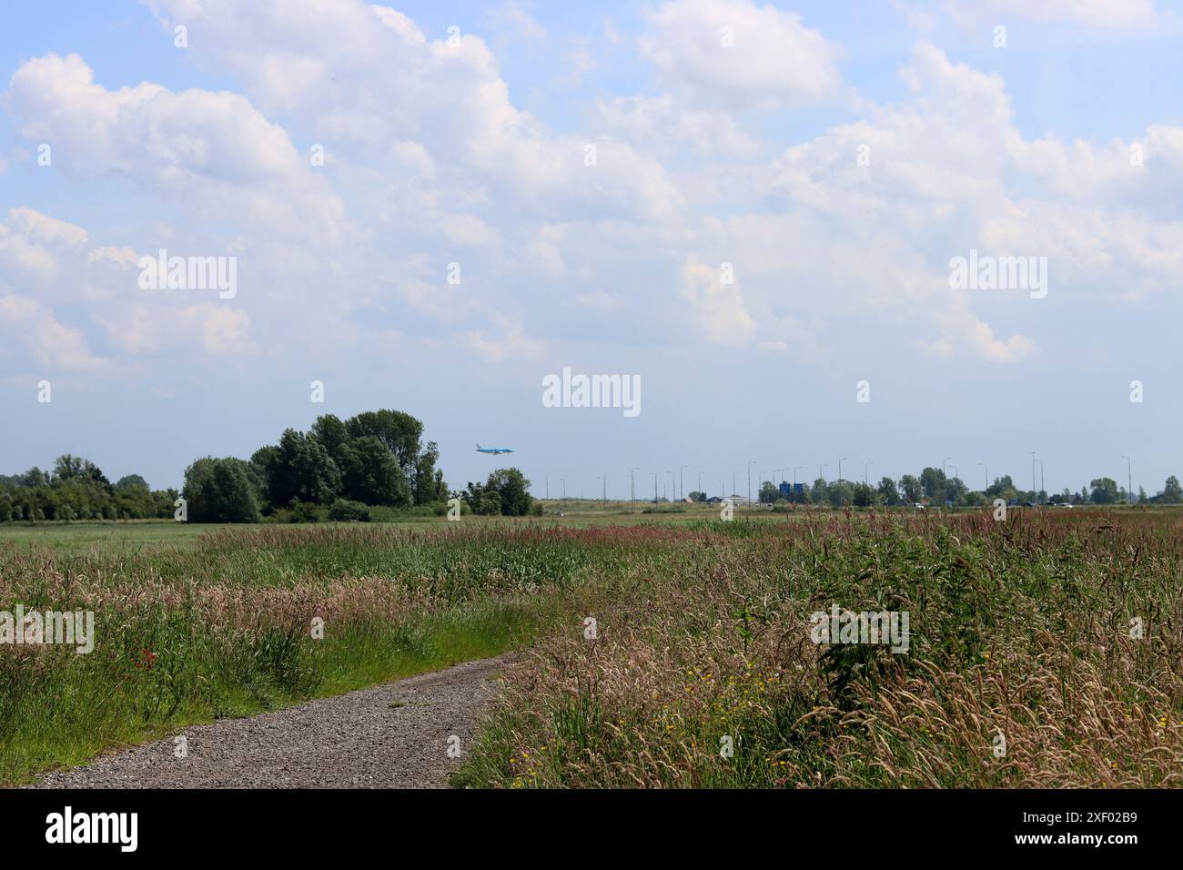 Paysage rural avec une route au milieu d'une prairie. Journée d'été nuageuse à la campagne. Paysage rural tranquille. Banque D'Images