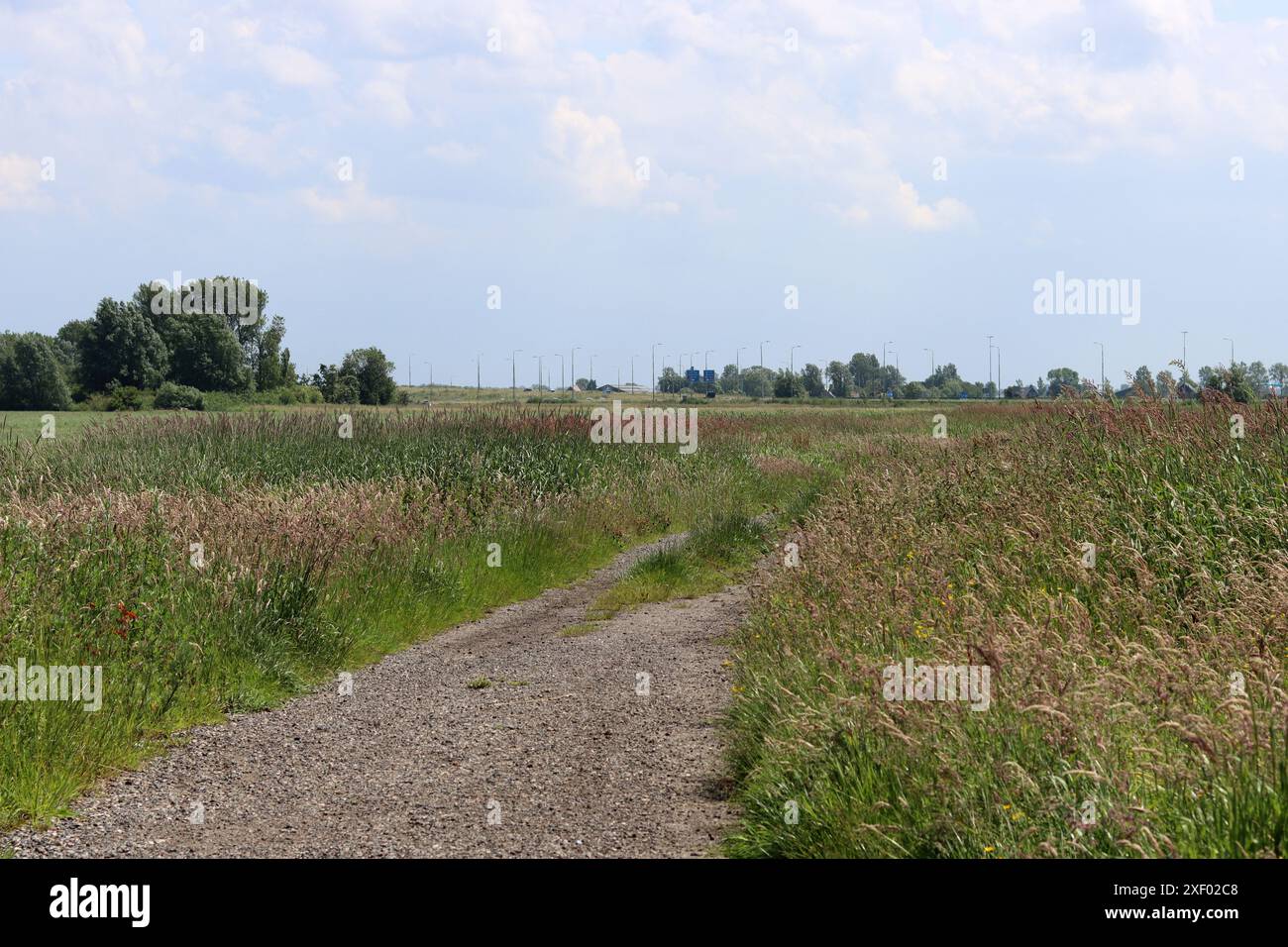 Paysage rural avec une route au milieu d'une prairie. Journée d'été nuageuse à la campagne. Paysage rural tranquille. Banque D'Images