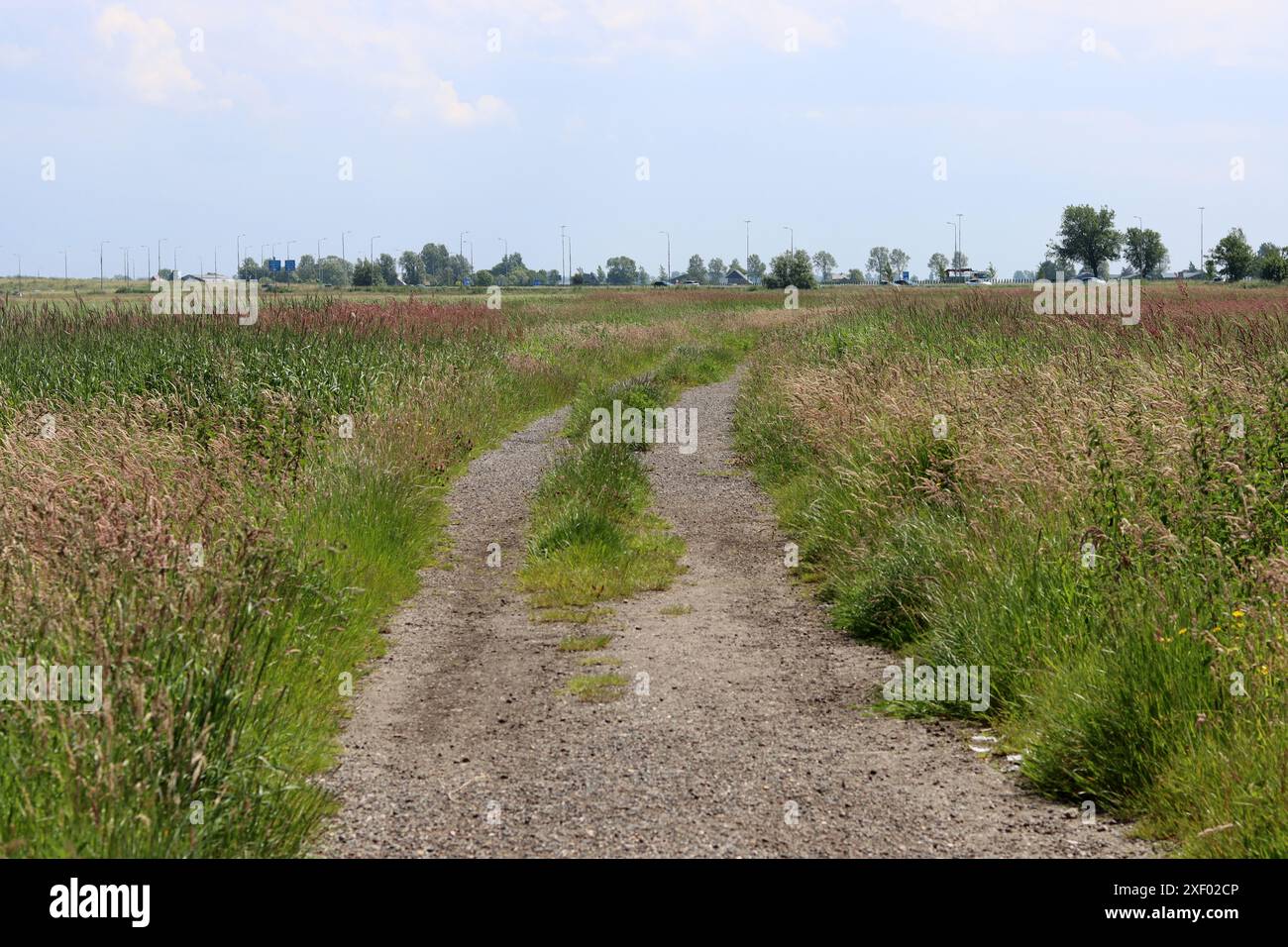 Paysage rural avec une route au milieu d'une prairie. Journée d'été nuageuse à la campagne. Paysage rural tranquille. Banque D'Images