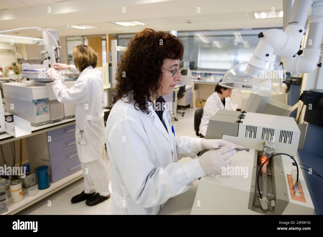 Analyseur d'halogène et chromatographe en phase gazeuse avec spectrométrie de masse. Laboratoire de chimie organique environnementale. Fundacion Inasmet-Tecnalia. Donostia, San S. Banque D'Images