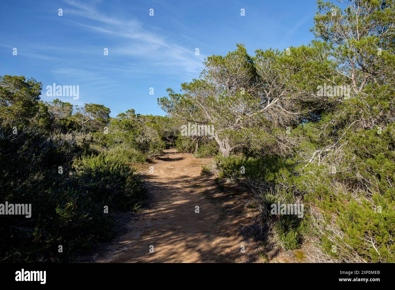 CAN Marroig domaine public, Formentera, Iles Pitiusa, Communauté des Baléares, Espagne. Banque D'Images