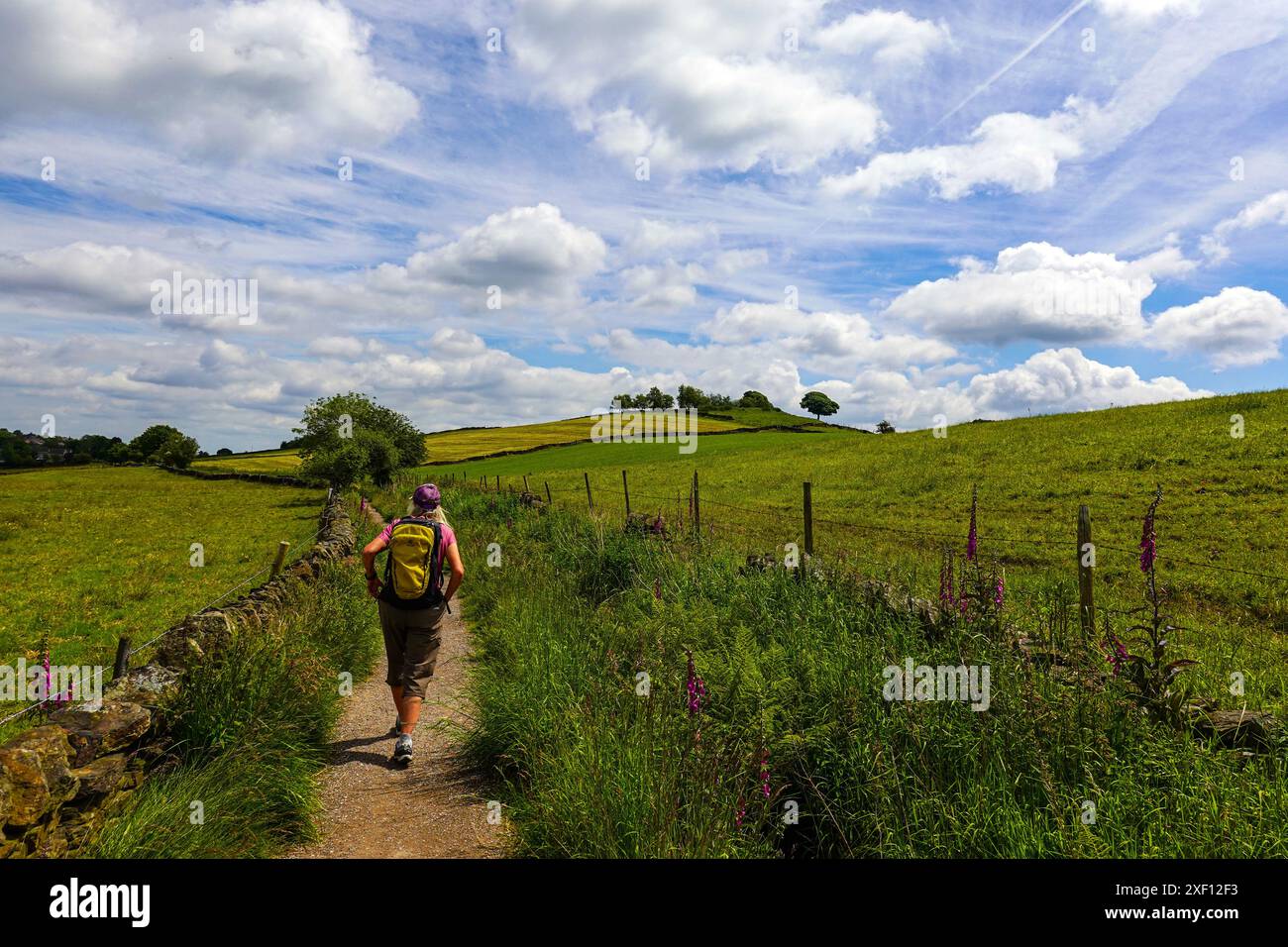 Marcheuse solitaire sur le conduit Redmires, Lodge Moor, Sheffield, South Yorkshire Banque D'Images