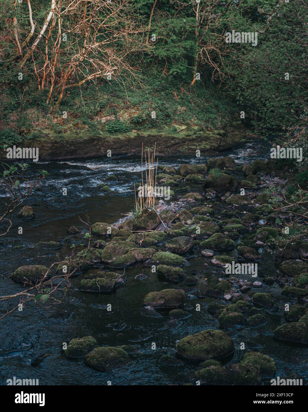 Promenades dans le parc national de Snowdonia Banque D'Images
