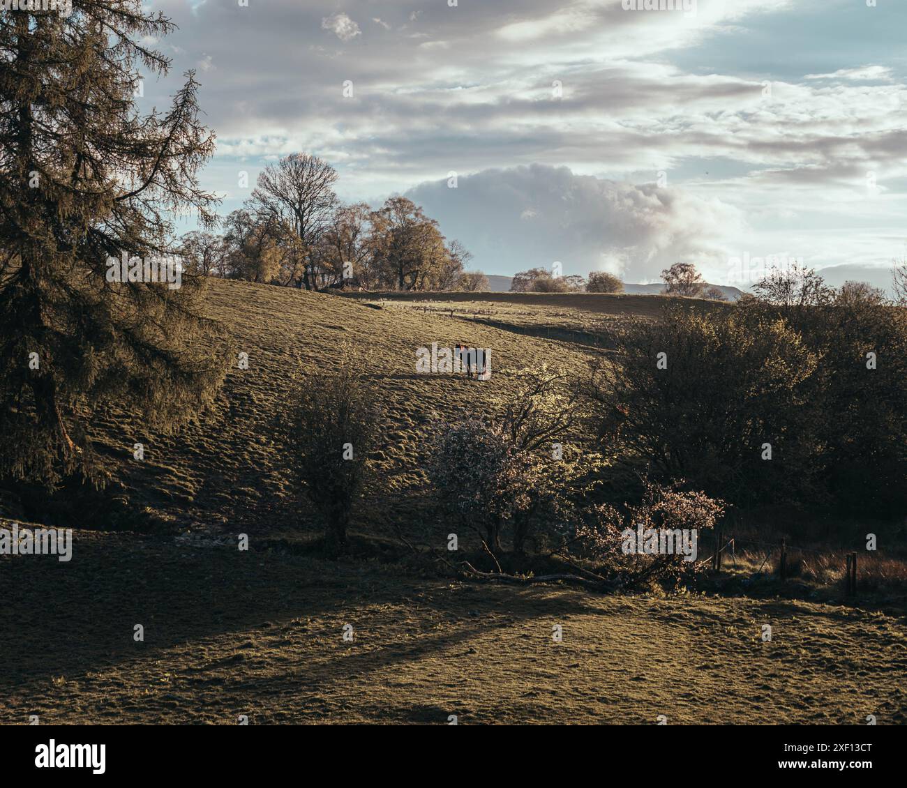 Promenades dans le parc national de Snowdonia Banque D'Images