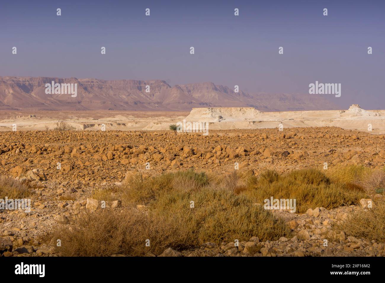 Le paysage du désert de Judée avec un sol sec, des roches arides et des buissons à la frontière entre la Jordanie et Israël Banque D'Images