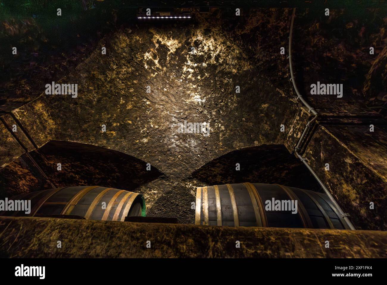 Vieux tonneaux en bois et culture de levure sur les plafonds voûtés dans le Ratskeller Brême. La plus grande collection de vins allemands est stockée ici. Le Bremer Ratskeller est un restaurant traditionnel et un magasin de vin dans la cave de la mairie de Brême datant de 1405, où 650 variétés de vins exclusivement allemands sont stockées, Brême, Allemagne Banque D'Images