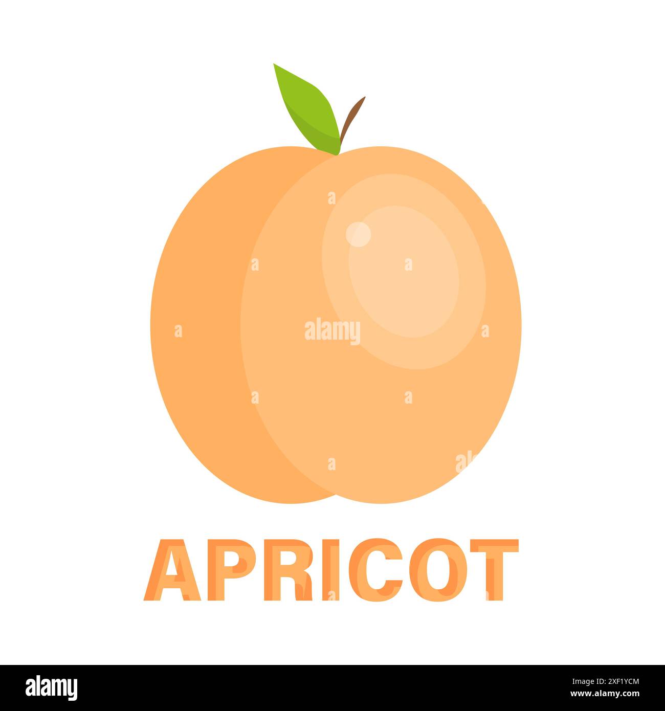 Illustration de fruit d'abricot. Couleur orange. Accent de feuilles vertes. Graphique vectoriel. Illustration de Vecteur