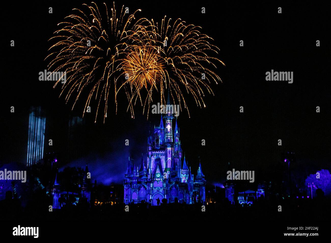 2024 Jeux des guerriers du ministère de la Défense les athlètes, leurs familles et leurs amis apprécient un feu d'artifice lors d'un événement qui a lieu au parc d'attractions Magic Kingdom de Disney World à Lake Buena Vista, Floride, le 21 juin 2024. Les Jeux des guerriers sont conçus pour améliorer les parcours de rétablissement des militaires blessés, malades, blessés et des vétérans en dehors des milieux de thérapie traditionnelle, rassemblant la communauté pour un rétablissement en temps réel. L’événement de 10 jours est composé de plus de 200 militaires blessés, malades et blessés et athlètes vétérans, participant à 11 événements sportifs adaptatifs du 21 au 30 juin, Banque D'Images