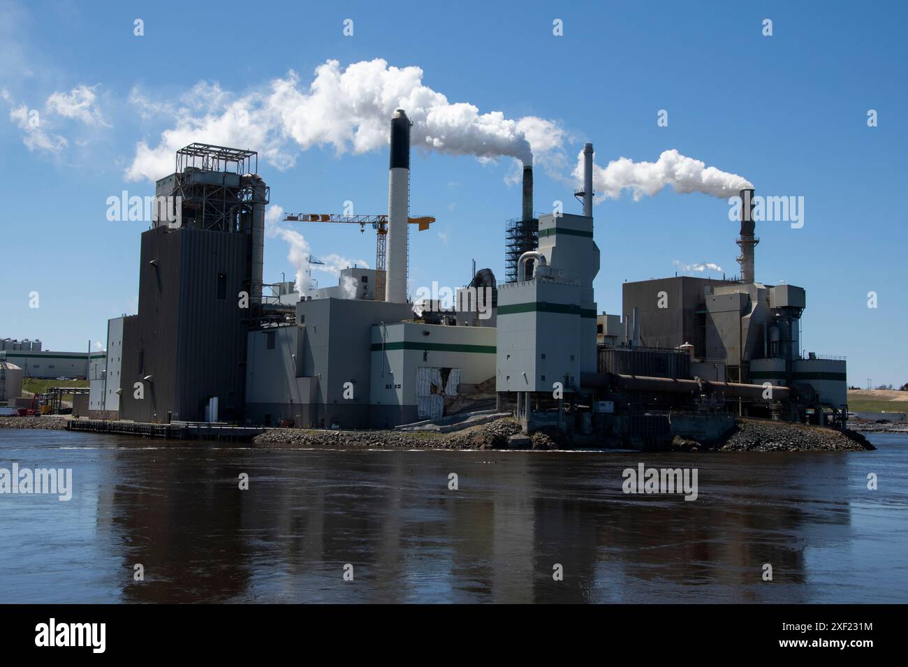 Usine de pâtes et papiers Irving à Reversing Falls à Saint John, Nouveau-Brunswick, Canada Banque D'Images