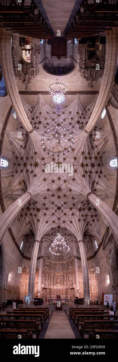 Cathédrale de Barbastro Huesca. Somontano Huesca. Cathédrale Santa María de la Asunción de Barbastro. Cathédrale gothique Banque D'Images