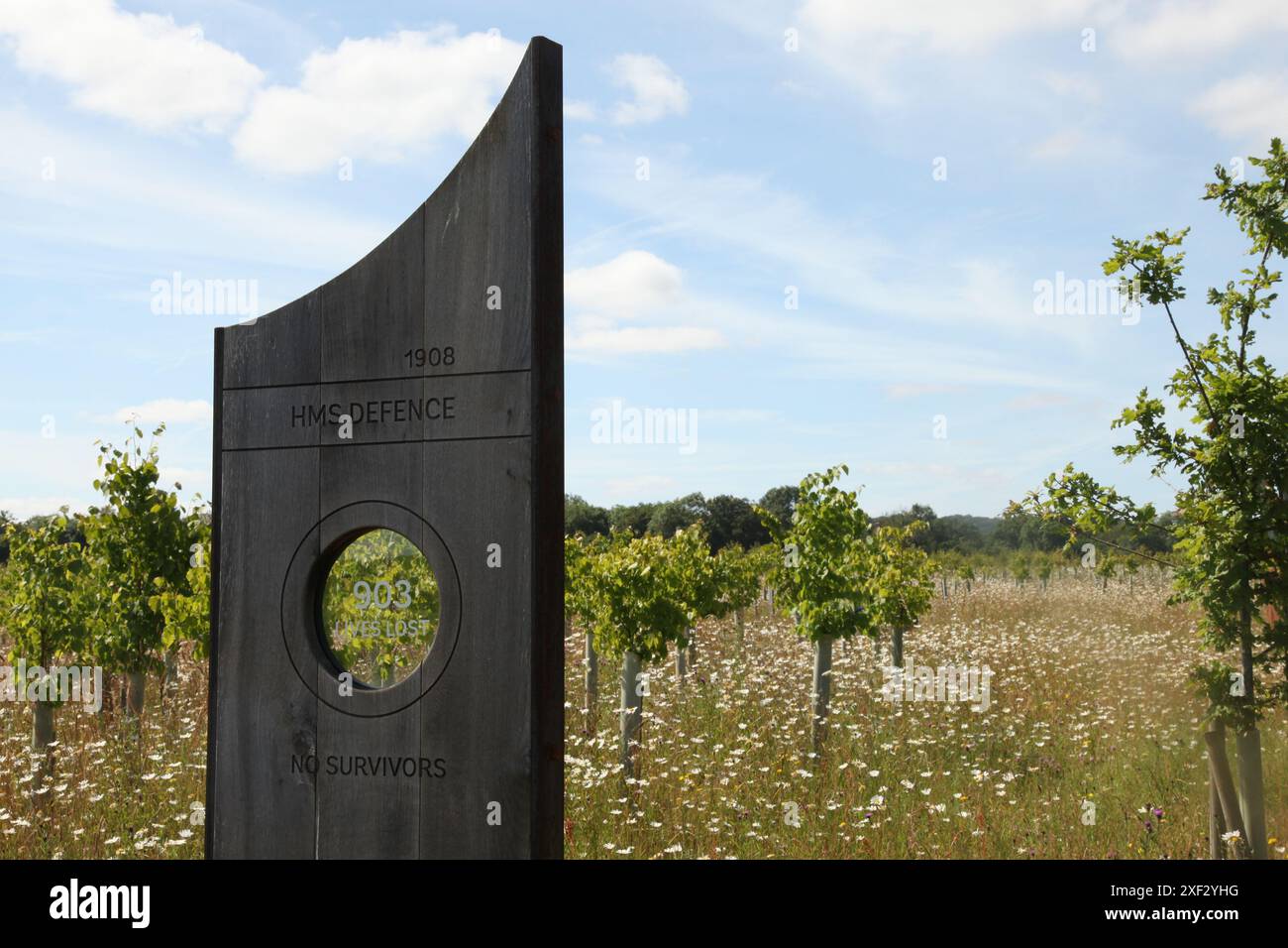 HMS Defence, Andrew Lapthorn Oak hublot marks, Battle of Jutland Tribute, Langley Vale Centenary Wood, Epsom Surrey, Angleterre, 2024 Banque D'Images