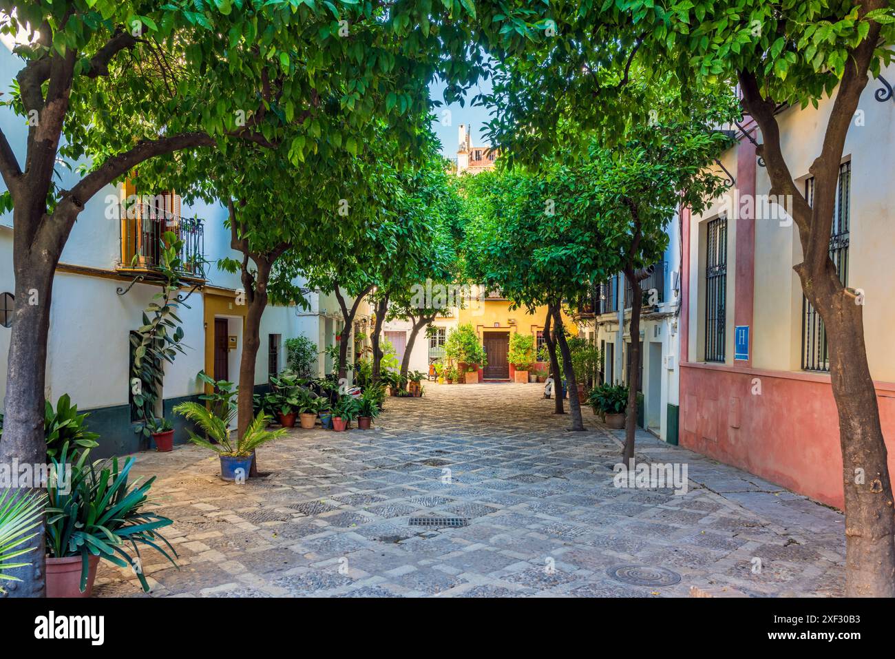 Pittoresque petite place dans le quartier de Santa Cruz, Séville, Andalousie, Espagne Banque D'Images