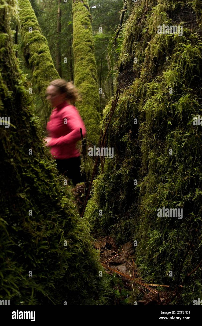 Trail running. Seymour Mountain, North Vancouver, Colombie-Britannique, Canada Banque D'Images