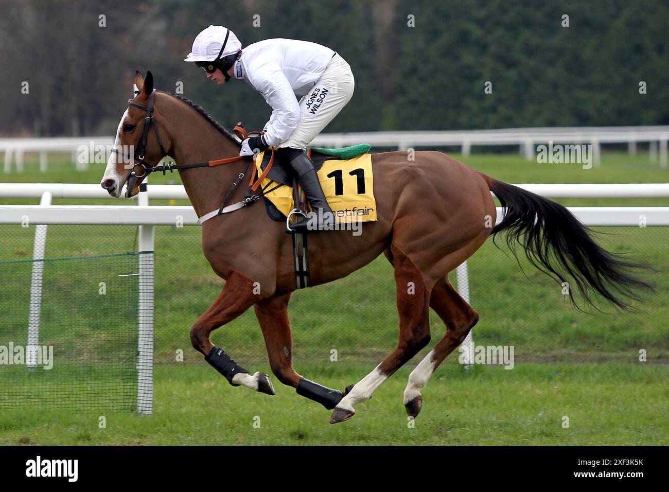 Photo de dossier datée du 05-03-2011 de Simply Blue, qui peut démarrer ce qui pourrait être un après-midi profitable pour les adeptes de William Buick, alors que le Godolphin numéro un fait une rare visite à Hamilton. Date d'émission : lundi 1er juillet 2024. Banque D'Images