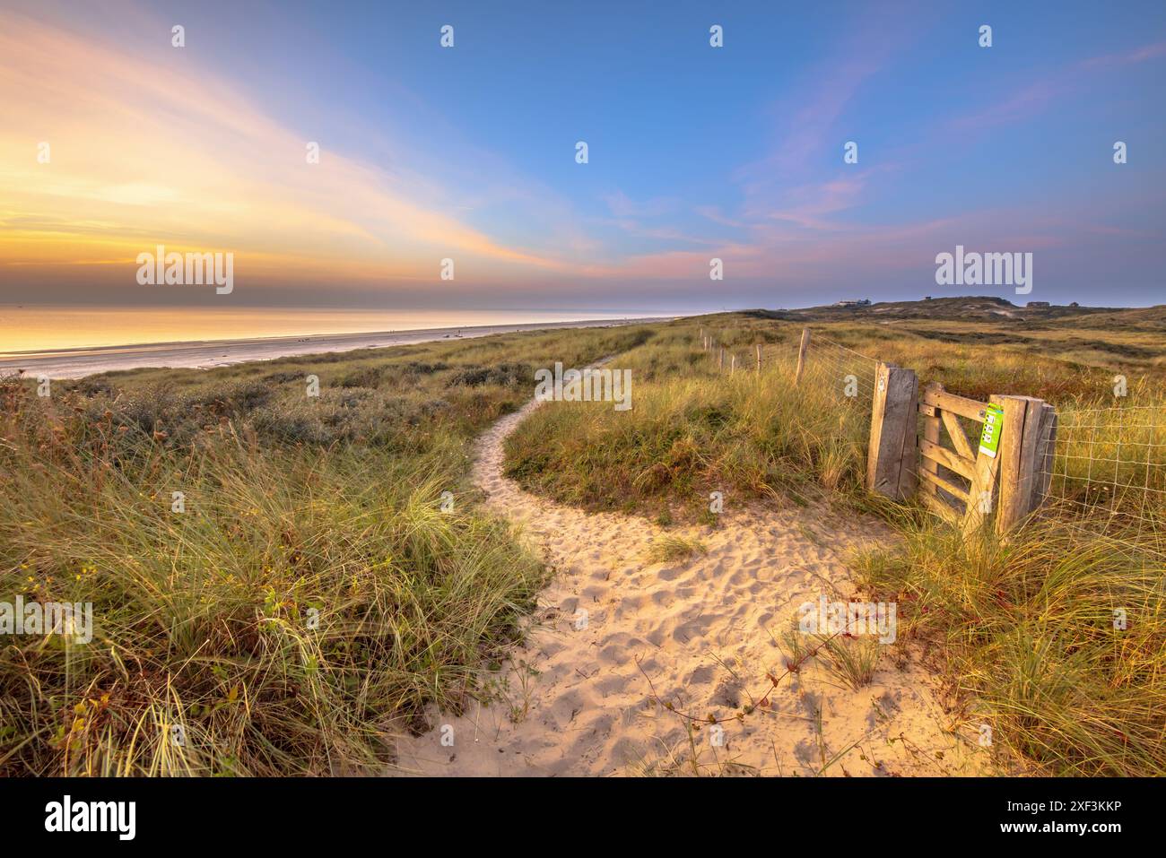 Sentier à travers le paysage de dunes sur la côte de la mer du Nord. Wijk aan Zee, Hollande-Nord, pays-Bas. Paysage marin dans la nature de l'Europe. Banque D'Images