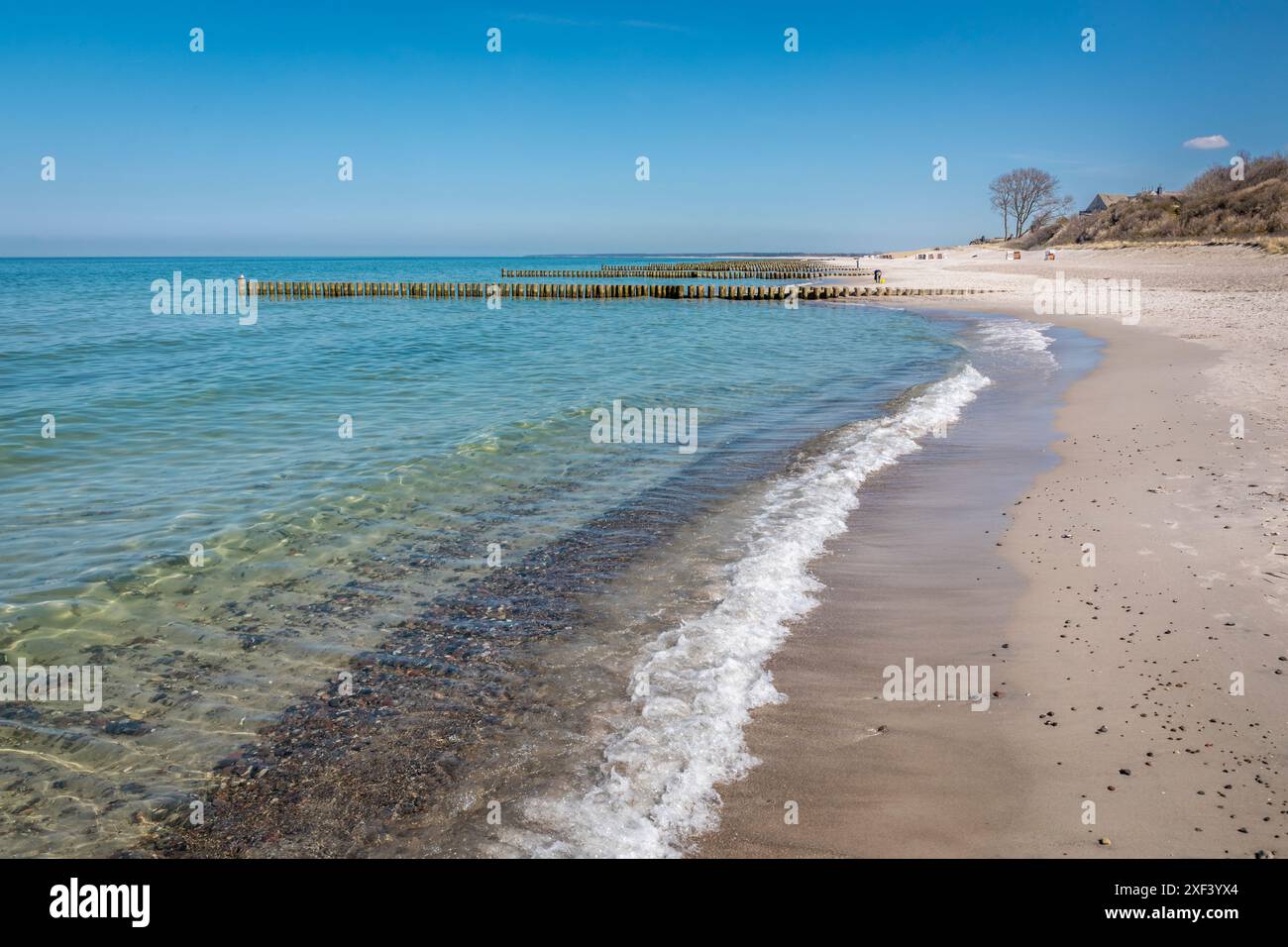 Géographie / voyage, Allemagne, Mecklembourg-Poméranie occidentale, plage avec jetées à Ahrenshoop, AUTORISATION-DROITS-SUPPLÉMENTAIRE-INFO-NON-DISPONIBLE Banque D'Images