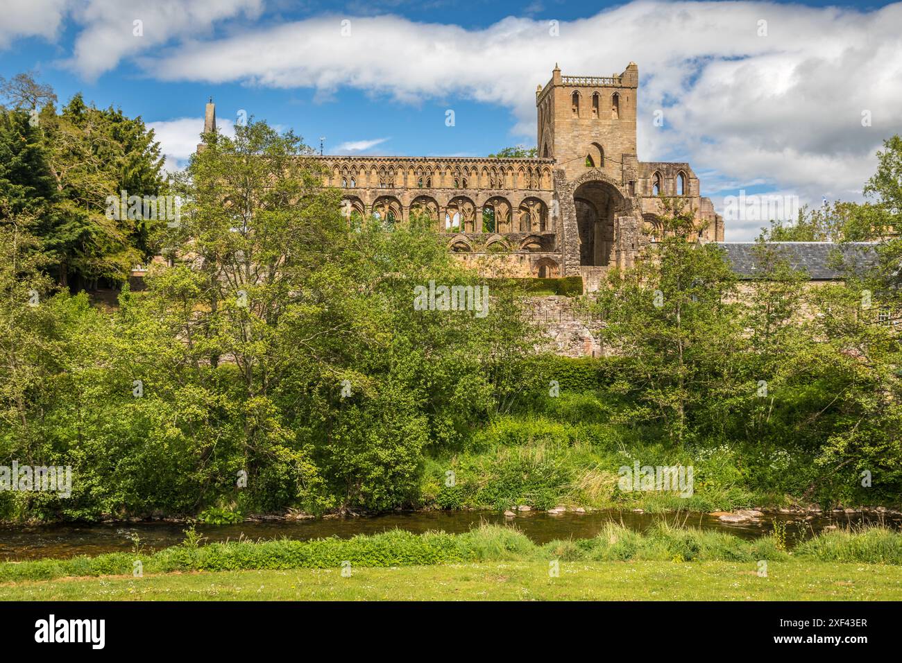 Géographie / voyage, Grande-Bretagne, Écosse, ruines de l'abbaye de Jedburgh sur la rivière Jed Water, Jedburgh, ADDITIONAL-RIGHTS-CLEARANCE-INFO-NOT-AVAILABLE Banque D'Images