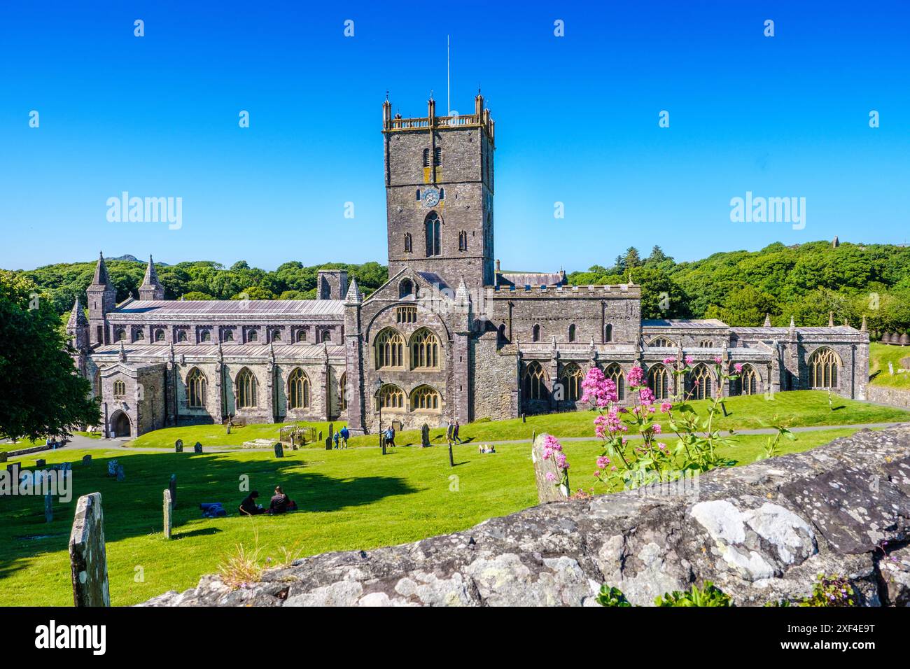 Cathédrale St Davids, Pembrokeshire, pays de Galles, Royaume-Uni Banque D'Images