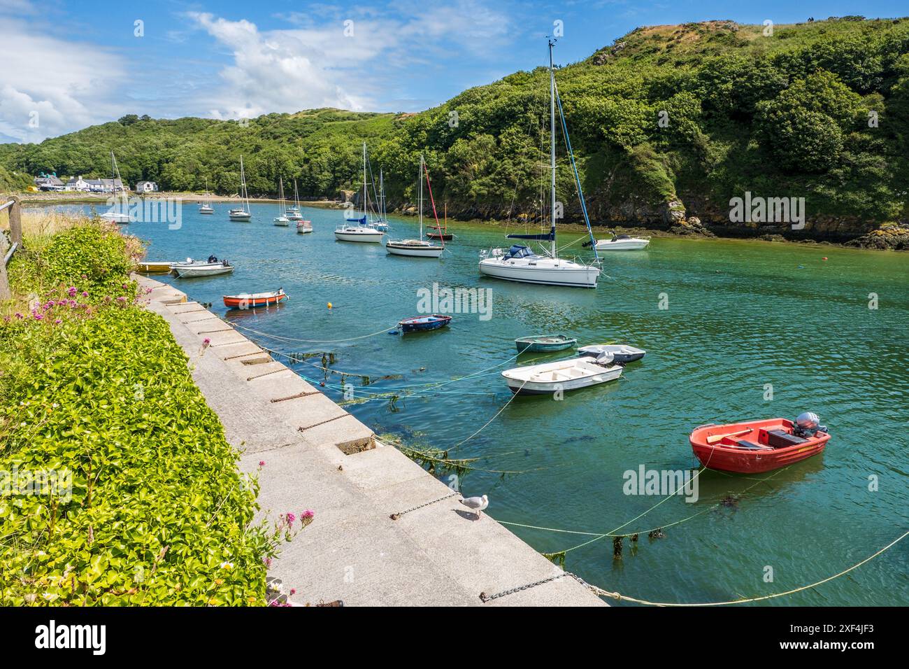 Port de Solva dans le Pembrokeshire, West Wales, Royaume-Uni Banque D'Images