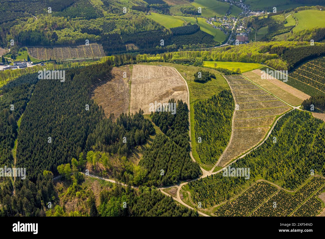 Vue aérienne, réserve naturelle Rarbach, paysage vallonné et quartier Rarbach, zone forestière avec des dommages forestiers, Kirchrarbach, Schmallenberg, Sauerland, Nor Banque D'Images