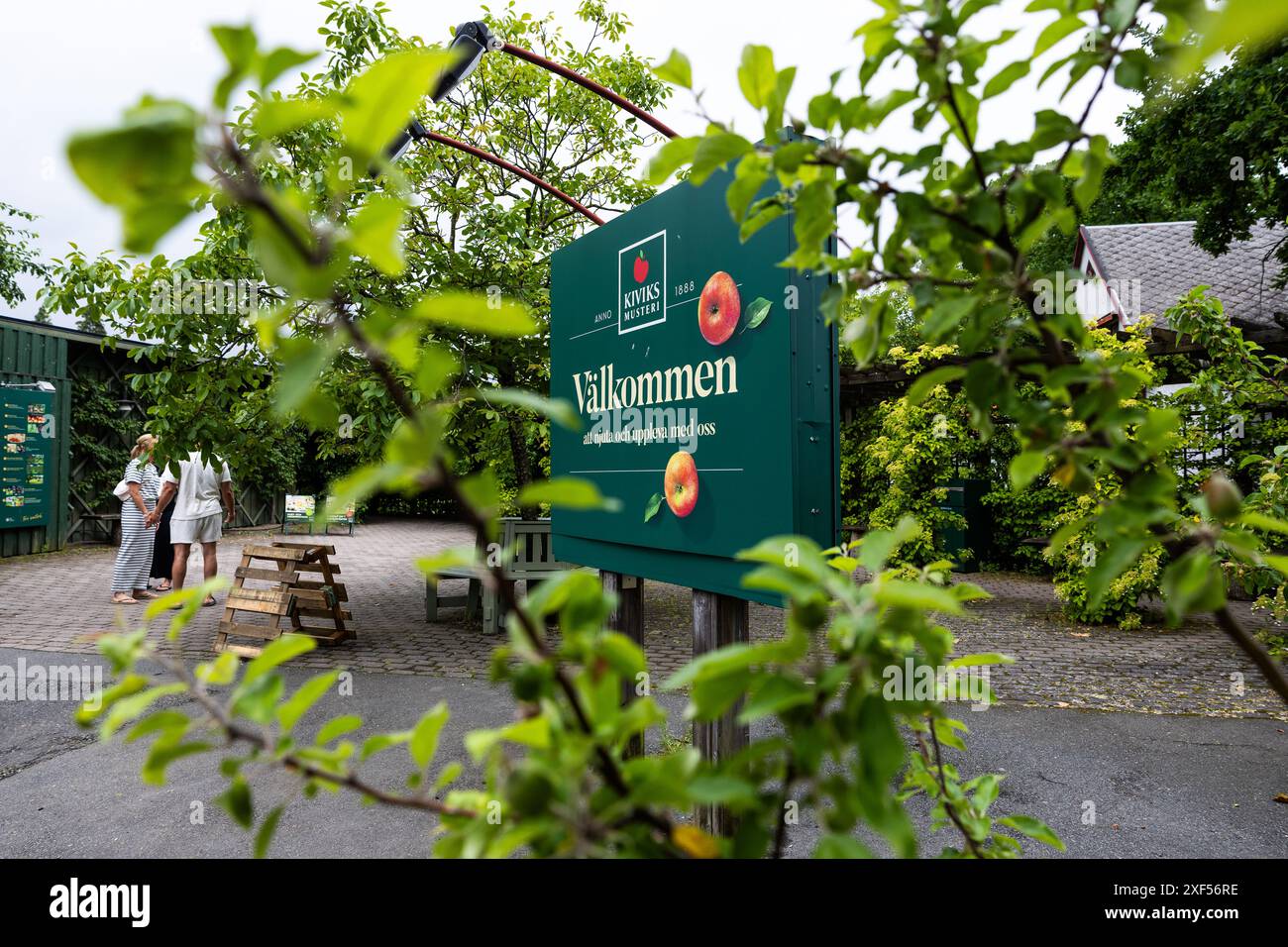 Kiviks Musteri AB est une entreprise familiale suédoise basée à Österlen, dans le comté de Skåne, en Suède. Banque D'Images