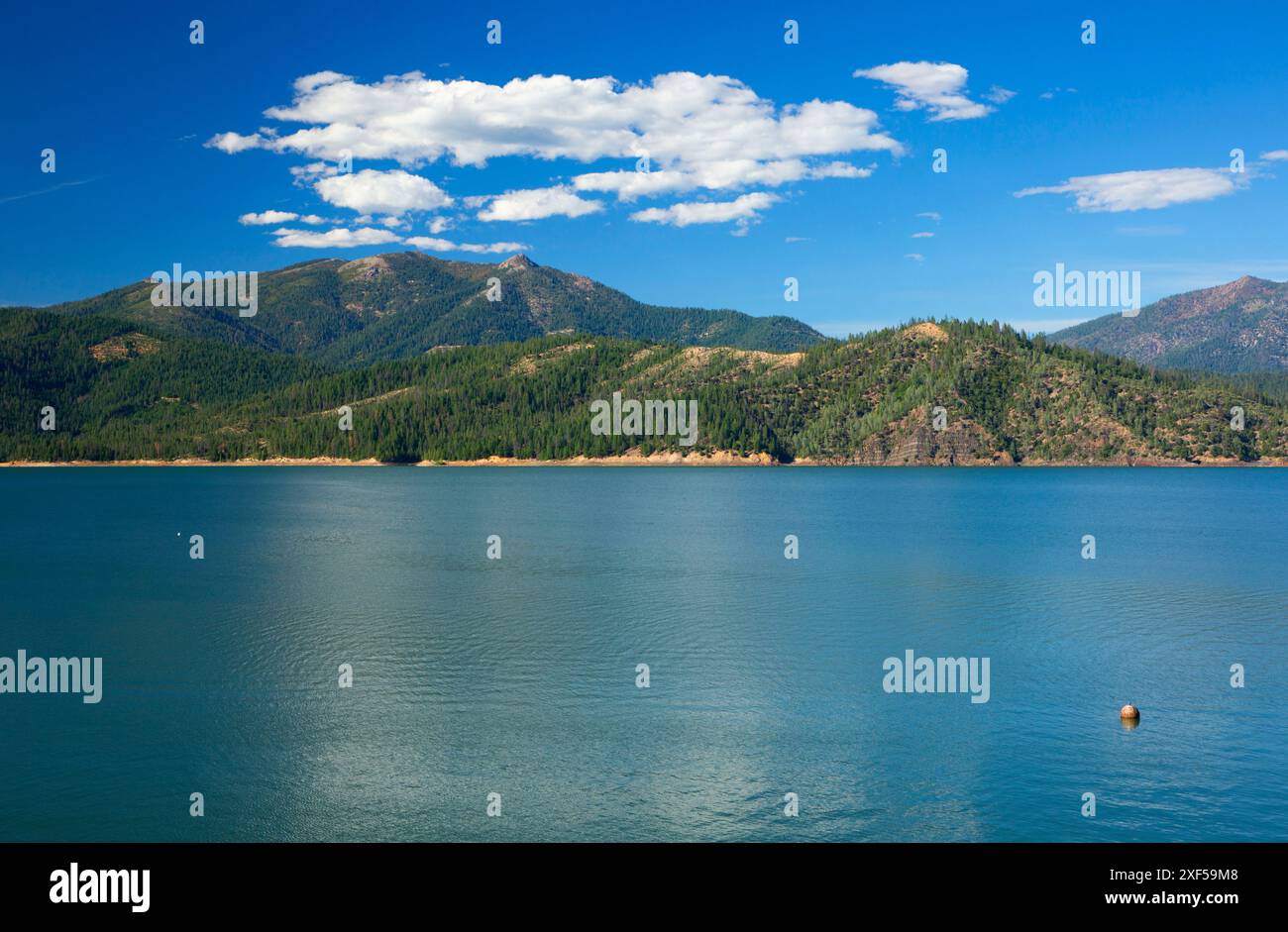 Trinity Lake, Whiskeytown-Shasta-Trinity National Recreation Area, Californie Banque D'Images