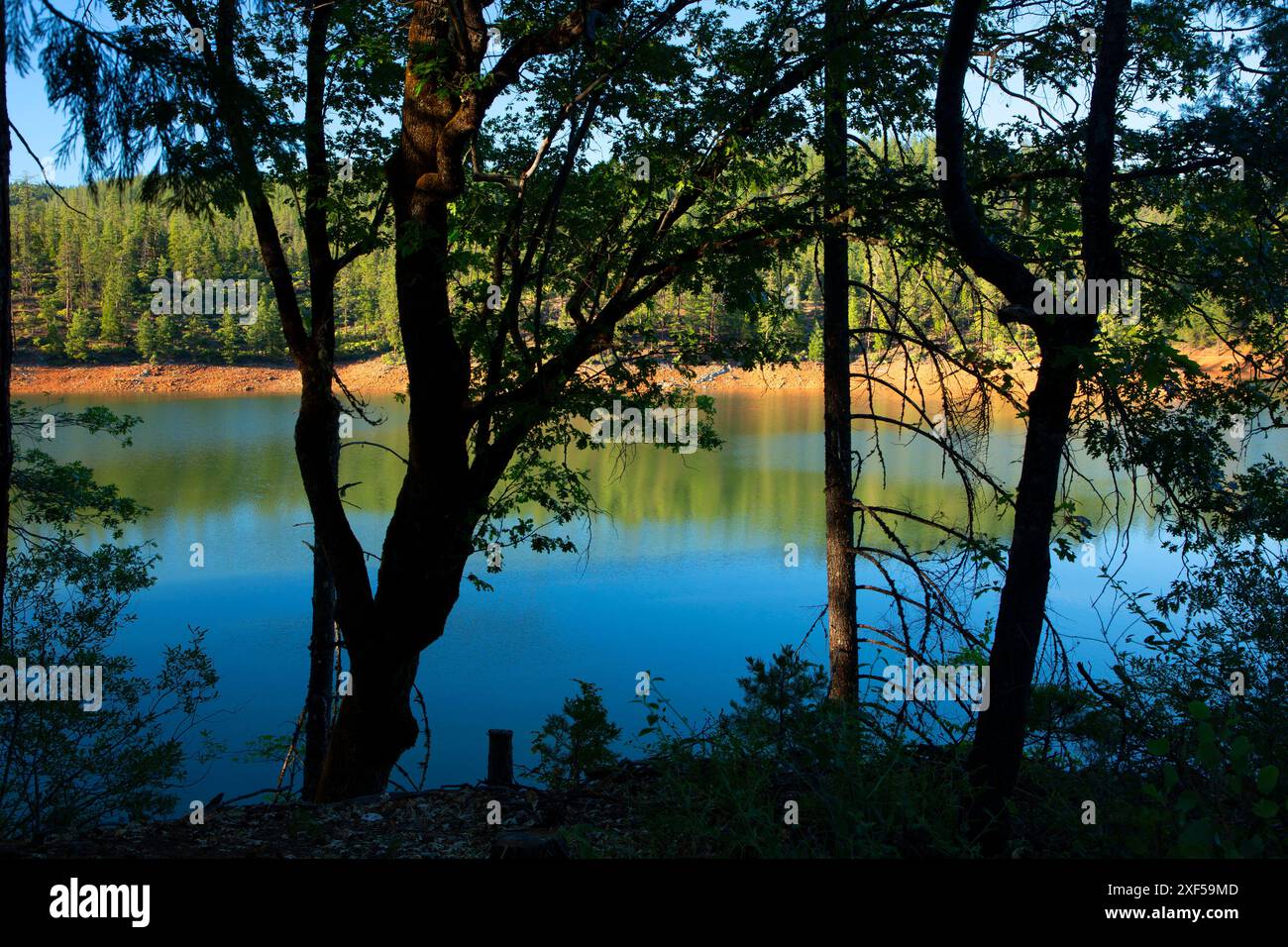Trinity Lake, Whiskeytown-Shasta-Trinity National Recreation Area, Californie Banque D'Images