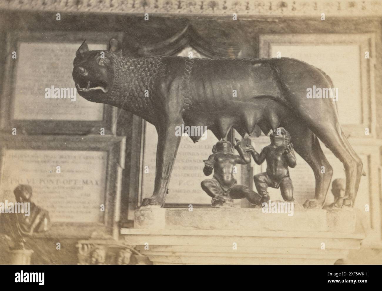 Antique circa 1867 carte de visite photographie, le loup Capitole est une sculpture en bronze représentant une scène de la légende de la fondation de Rome. SOURCE : CDV ORIGINAL Banque D'Images