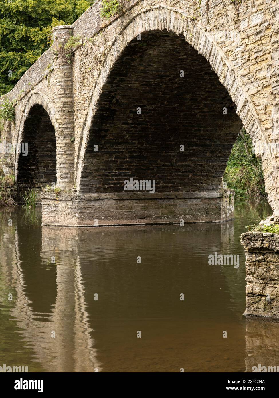 La rivière Teme à Ludlow dans le Shropshire, Engl Banque D'Images