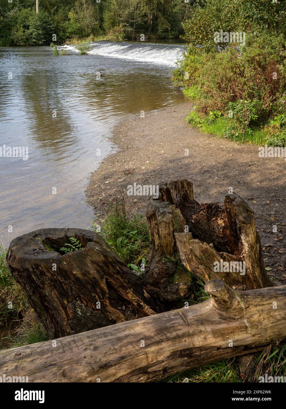 La rivière Teme à Ludlow dans le Shropshire, Engl Banque D'Images