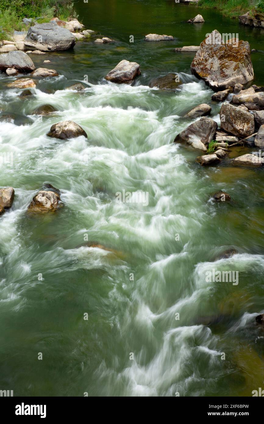 Scott River, Klamath Wild et Scenic River, forêt nationale de Klamath, Californie Banque D'Images