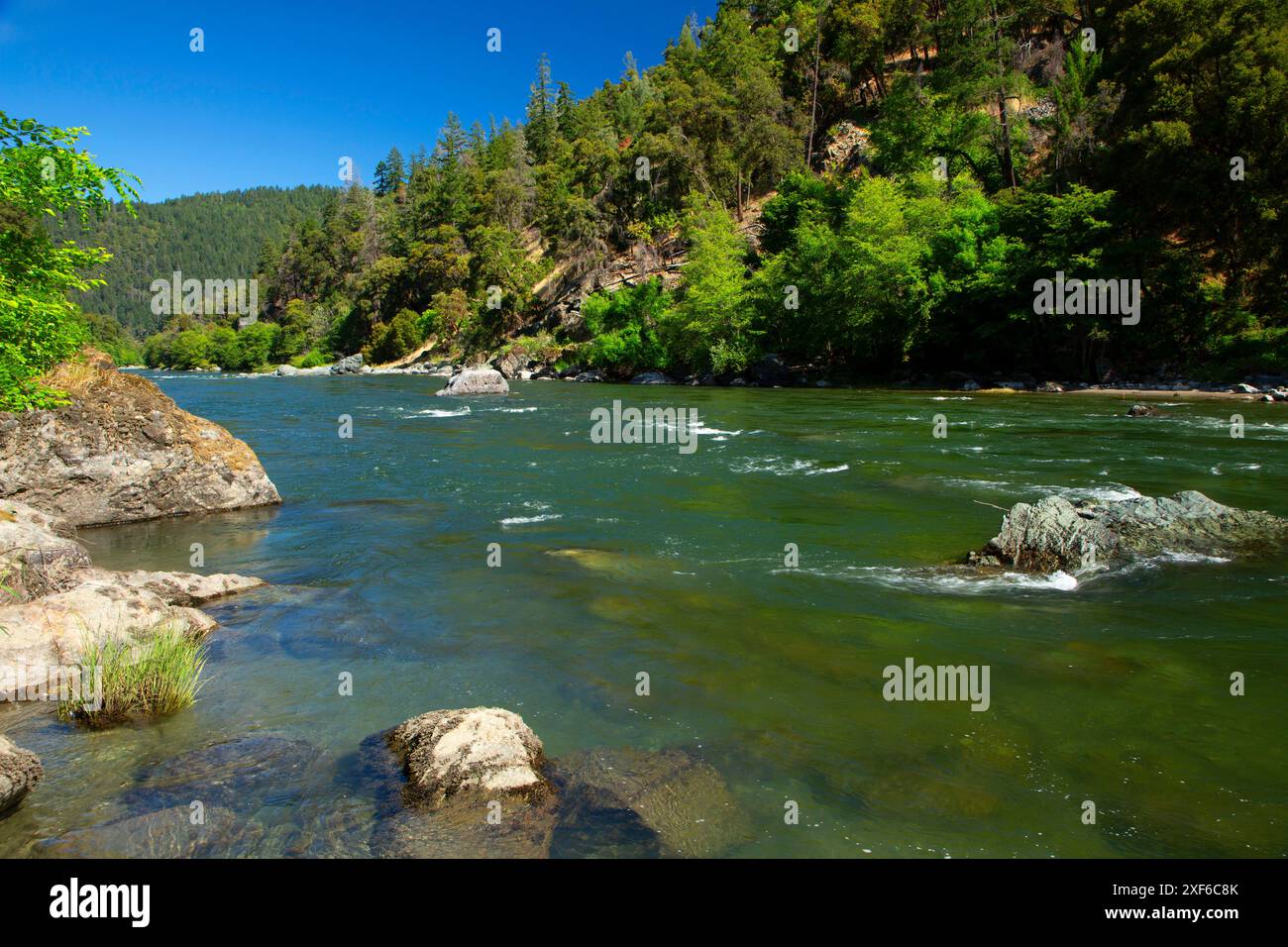 Trinity Wild et Scenic River depuis Gray Falls Trail, six Rivers National Forest, Californie Banque D'Images