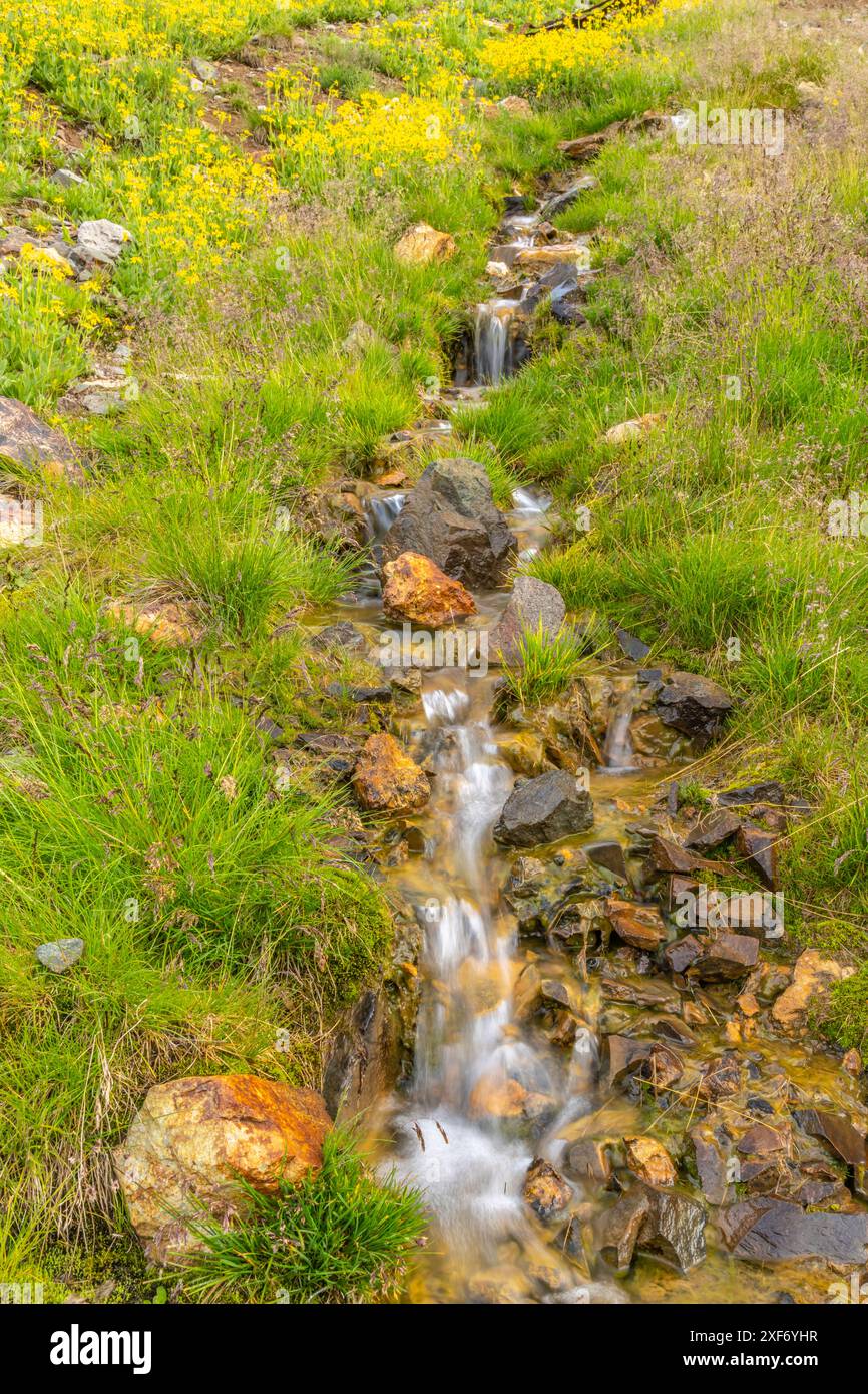 États-Unis, Colorado, San Juan Mountains. Cascade en cascade. Banque D'Images