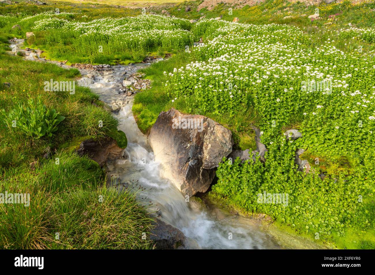 États-Unis, Colorado, San Juan Mountains. Cascade en cascade. Banque D'Images