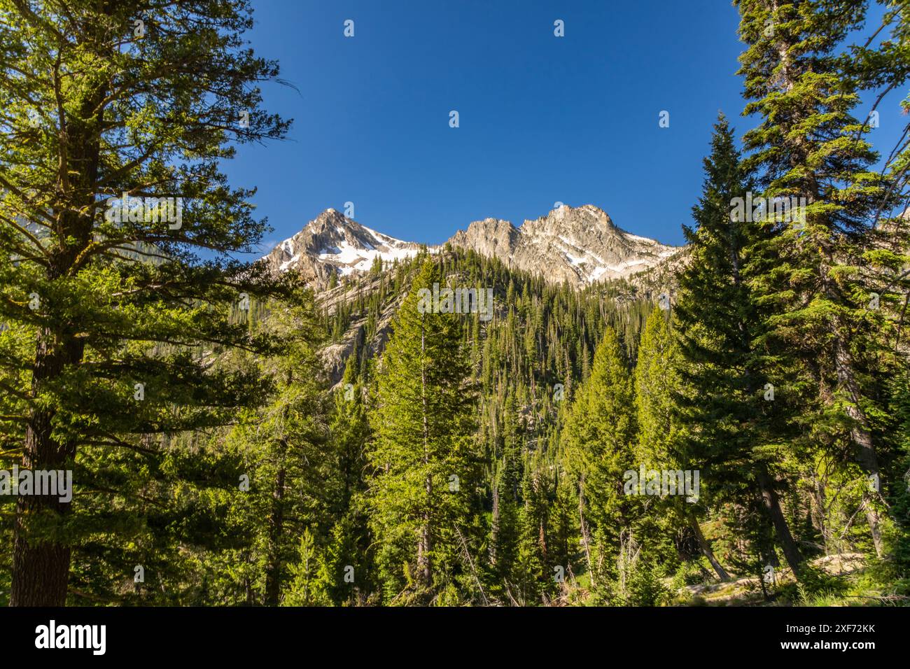 États-Unis, Idaho, Sawtooth Wilderness. Paysage de montagne et de vallée. Banque D'Images