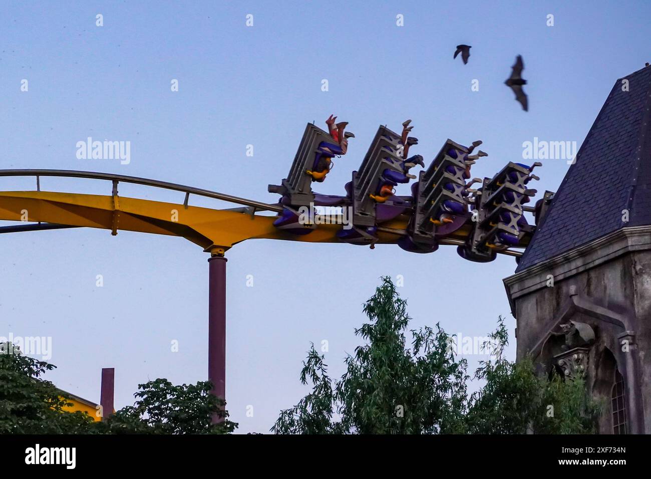 Madrid, Espagne. 1er juillet 2024. De vraies chauves-souris volent près d'une montagne russe sur le thème de Batman au parc à thème Parque Warner en Espagne au crépuscule. Crédit : Thomas Faull/Alamy Live News Banque D'Images