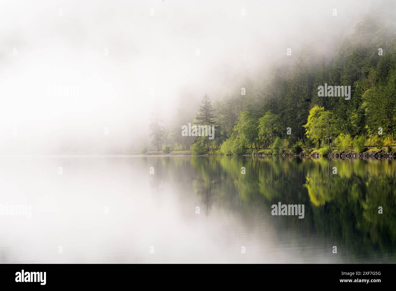 États-Unis, État de Washington, parc national olympique, lac Crescent. Le brouillard obscurcit une partie du lac Crescent. Banque D'Images